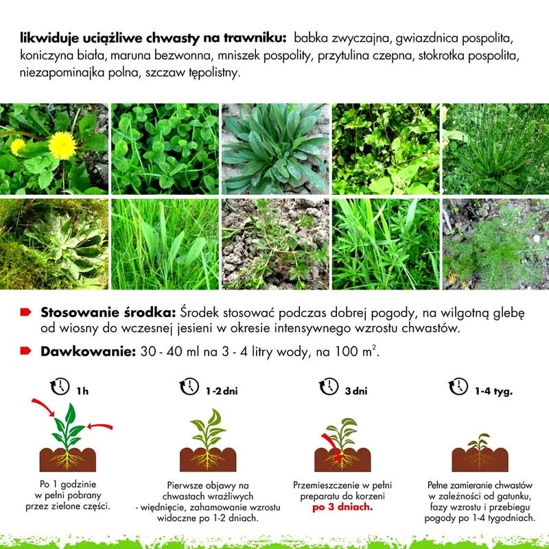 Kiedy wykonać oprysk na dwuliścienne, aby osiągnąć najlepsze efekty?