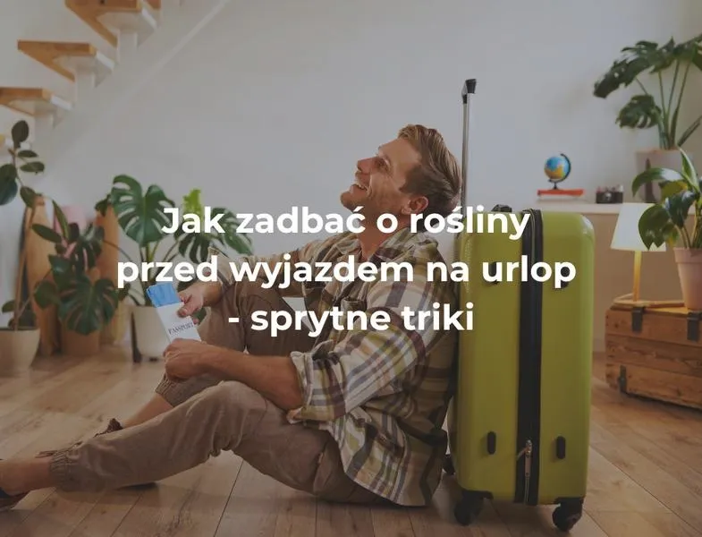 Czy można przewozić rośliny w bagażu podręcznym? Sprawdź zasady i porady!