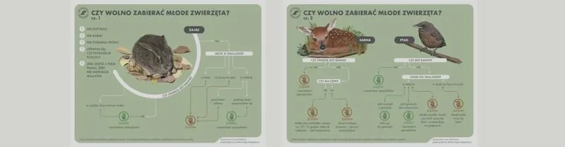 Czy padłe zwierzęta to odpad, czy cenny materiał dla środowiska?