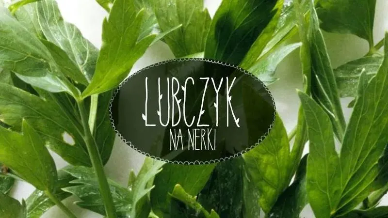 Gdzie kupić sadzonki lubczyku? Przewodnik dla pasjonatów ogrodnictwa