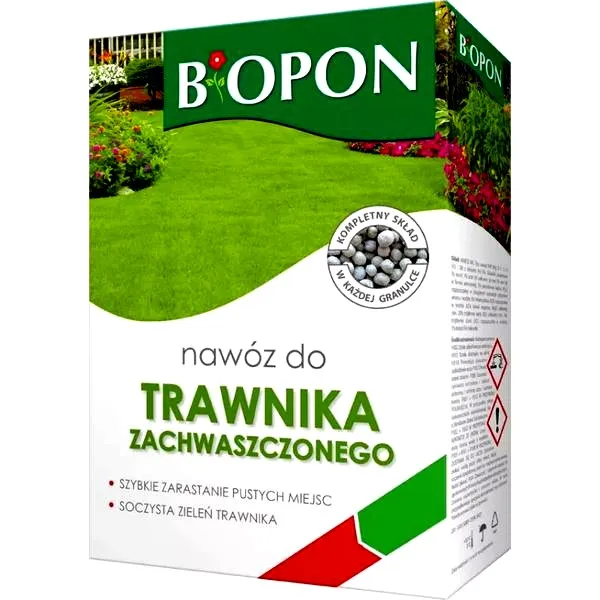 Jak wybrać idealny nawóz do trawnika w sierpniu?