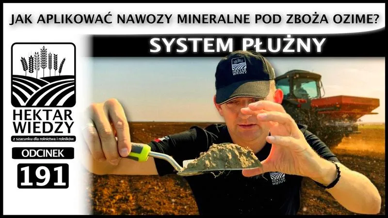 Jakie nawozy pod oziminy wybrać, by zapewnić obfite plony?