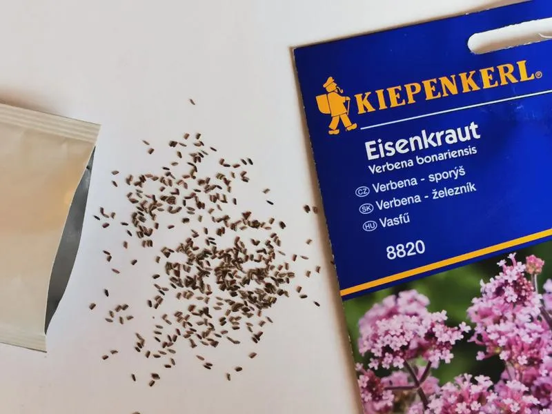 Jakie składniki odżywcze są najlepsze dla werbeny? Sprawdź idealny nawóz!