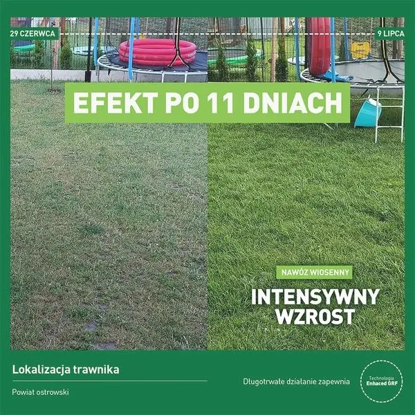 Najlepszy wybór: Jaki nawóz wiosenny na trawę zastosować w ogrodzie?
