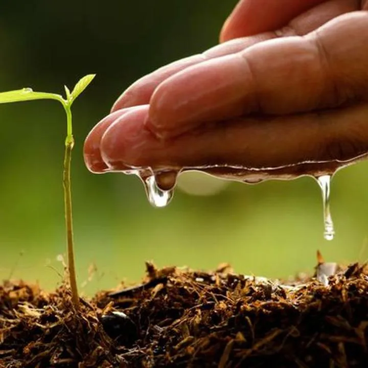 Ochrona przyrody: klucz do lepszej przyszłości dla nas wszystkich