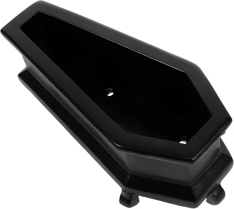 Odkryj rośliny, które rzadko się podlewa i cieszą się zdrowiem