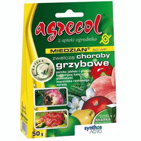 Oprysk drzew miedzianem – kiedy jest najlepszy moment na wykonanie zabiegu?