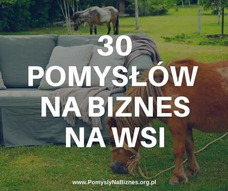 Perspektywy rozwoju: Jaki biznes na wsi w 2026 roku?