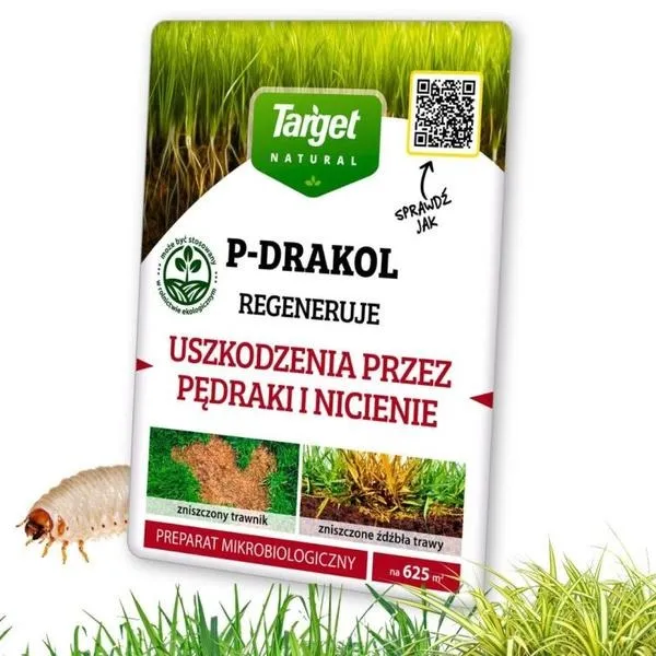 Rośliny, które skutecznie odstraszają pędraki w ogrodzie