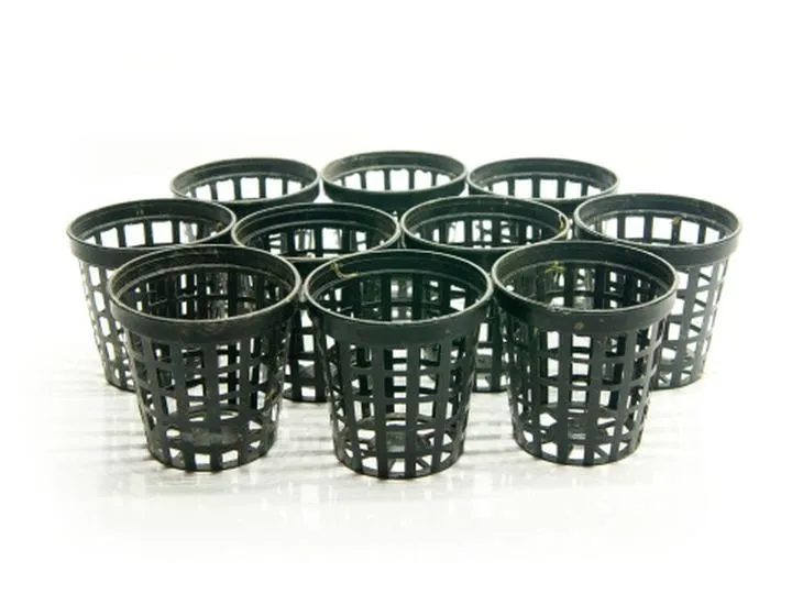 Sadzenie roślin akwariowych w koszyczkach – to się opłaca?