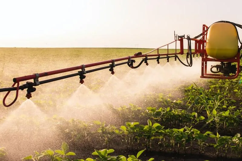 Skuteczne opryski na ziemniaki: poradnik dla każdego ogrodnika