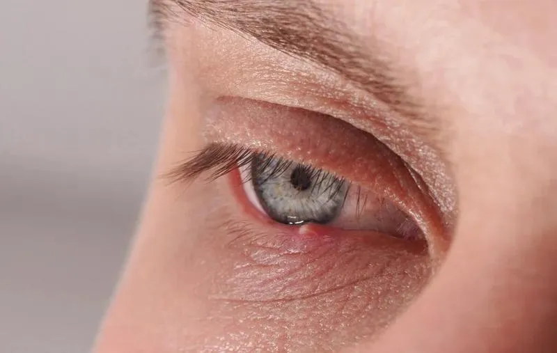 Zaskakujące oblicze jęczmienia – odkrywamy tajemnice tej fascynującej rośliny