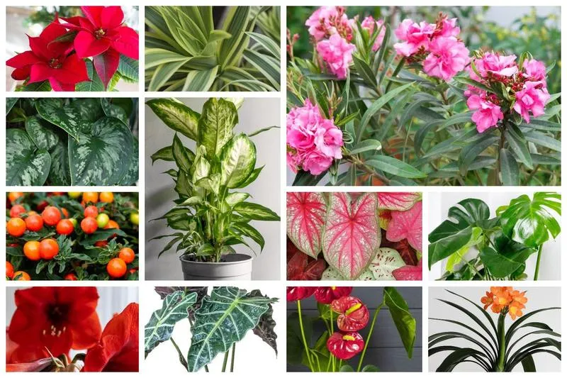 Aranżacja salonu z roślinami