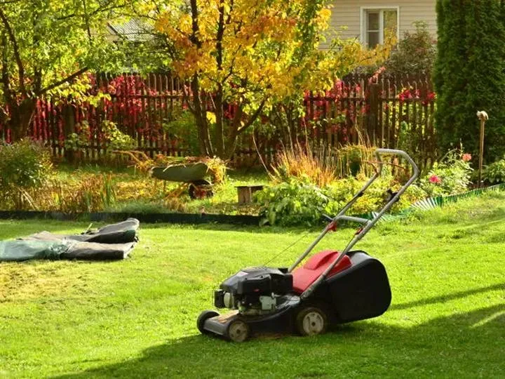 Bezpieczeństwo podczas koszenia