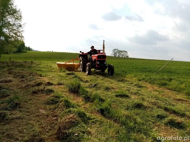 Czynniki wpływające na ceny