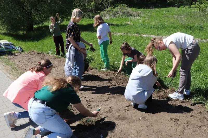 Ekologiczne zagrożenia trawnika