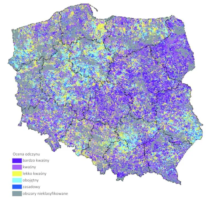 Gleby zasadowe w ogrodzie