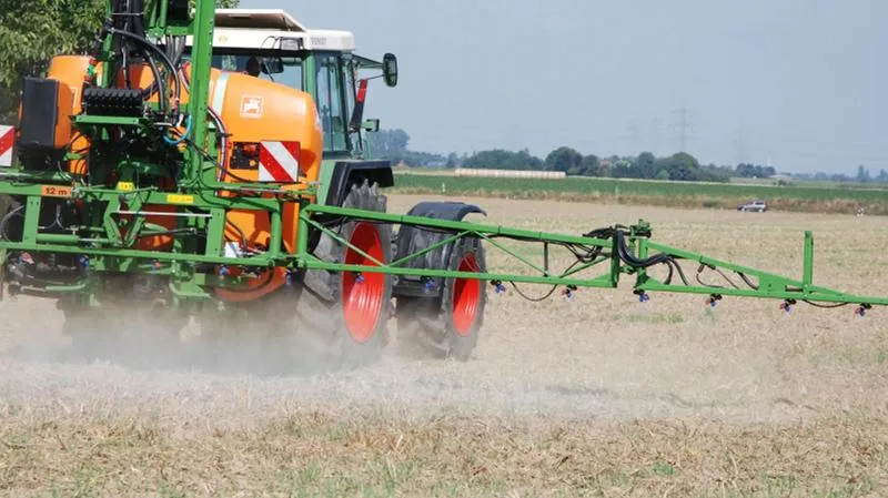 Herbicydy pożniwne i ich skuteczność