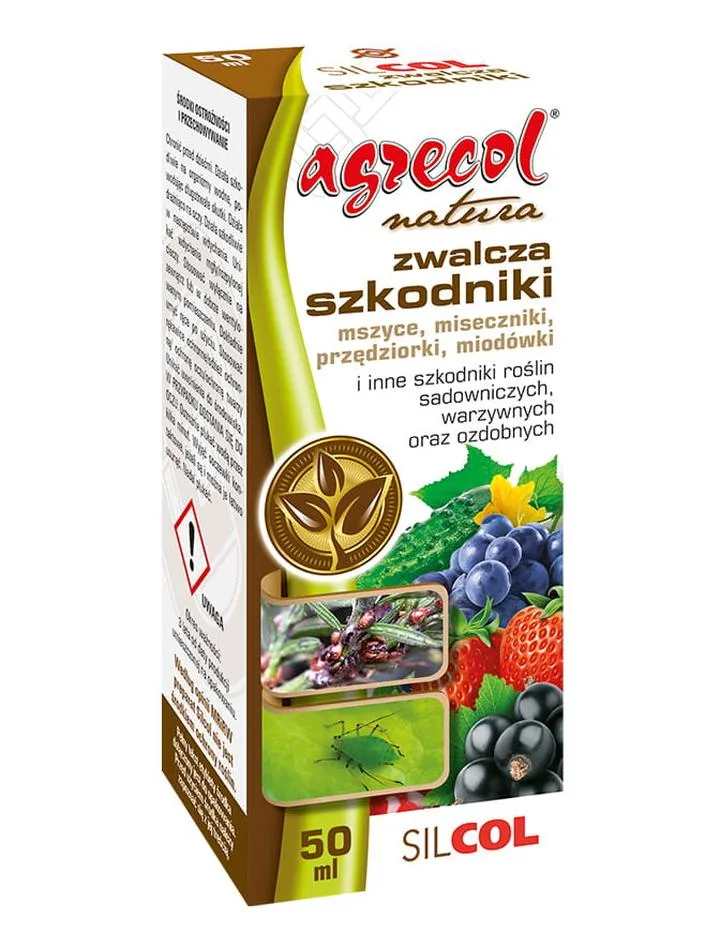 Identyfikacja mszyc w ogrodzie