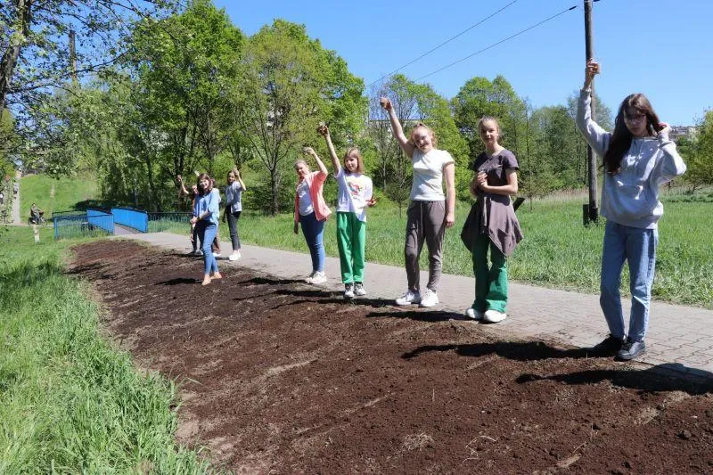 Korzyści z rezygnacji z koszenia