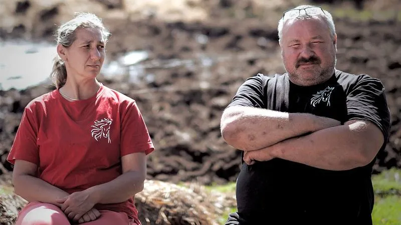 Liczba odcinków i godzina emisji