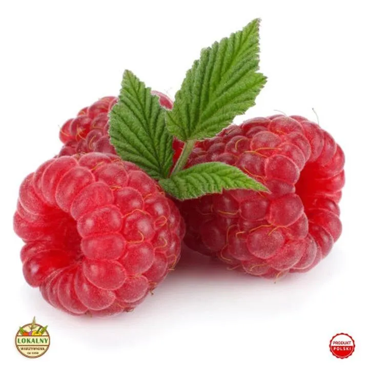 Liczba sadzonek malin na 10 arów