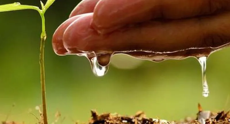 Międzynarodowa współpraca