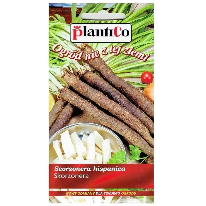 Mniszek w diecie i pielęgnacji