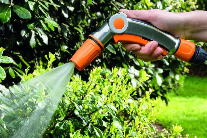 Najlepsze pory podlewania