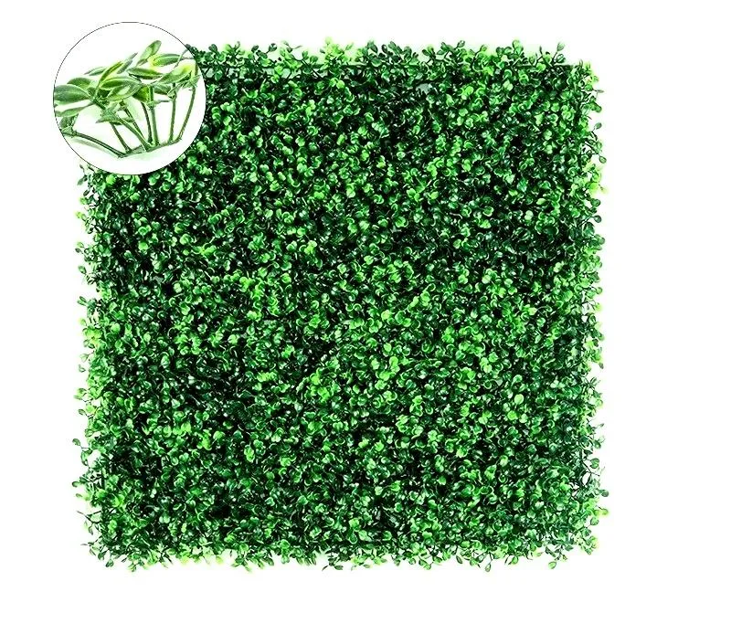 Naturalne sposoby ochrony bukszpanu