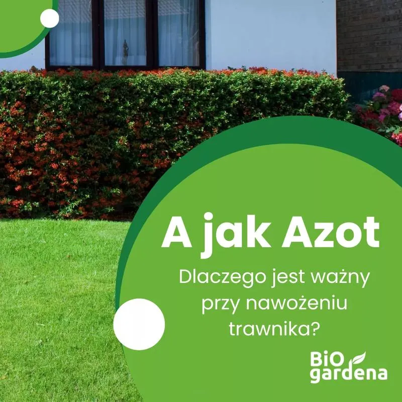 Nawożenie azotowe