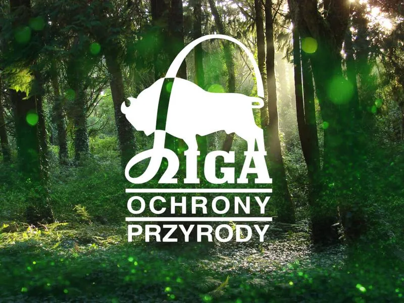 Ochrona przyrody
