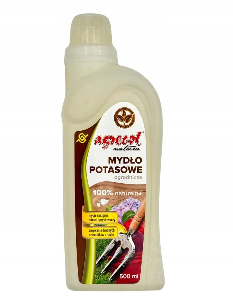 Pielęgnacja liści roślin