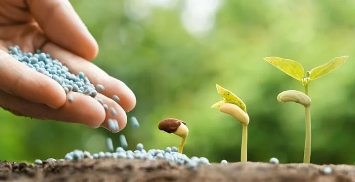 Porady dla rolników