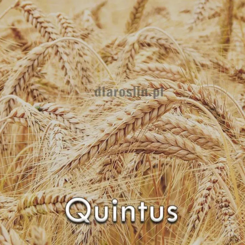 Porady z forum rolniczego