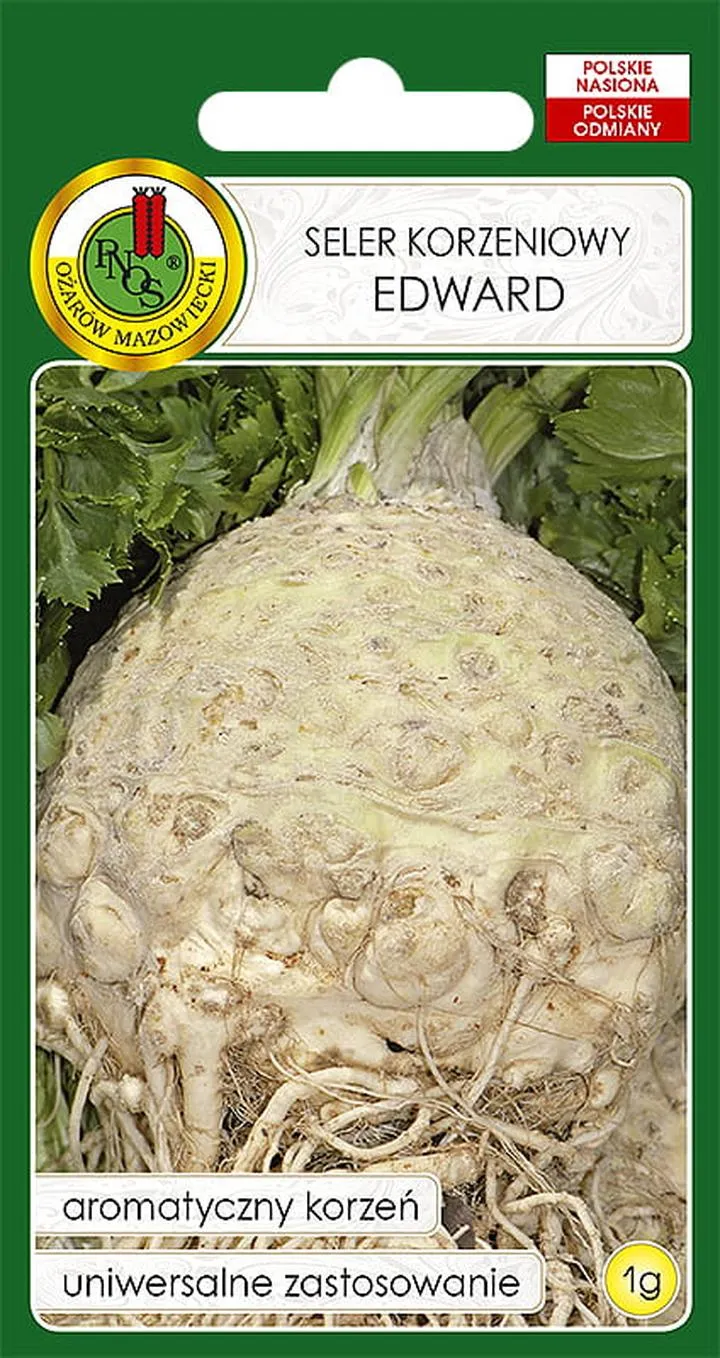 Przygotowanie do sadzenia selera