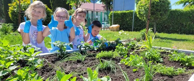 Przygotowanie ziemi do sadzenia