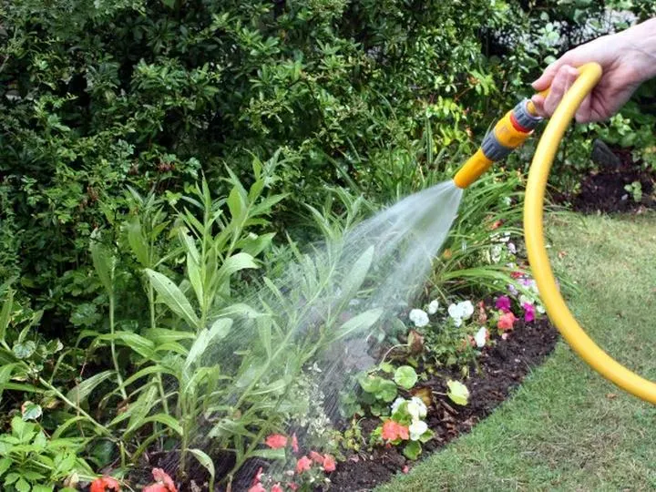 Rodzaj gleby a podlewanie