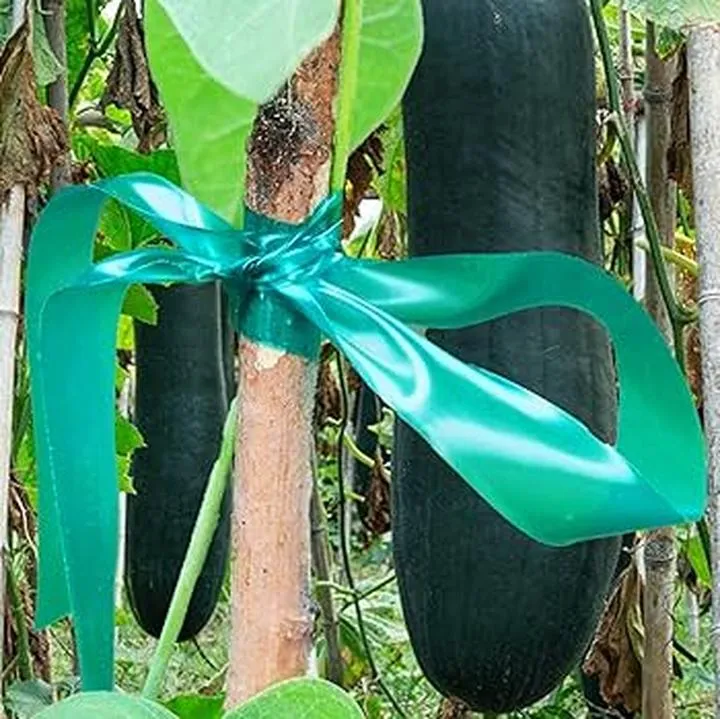 Roślinna kompozycja ze wstążek