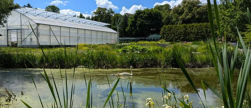 Sadzawki w ekosystemie