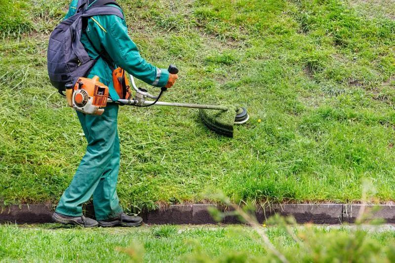 Susza hydrologiczna a kondycja trawnika