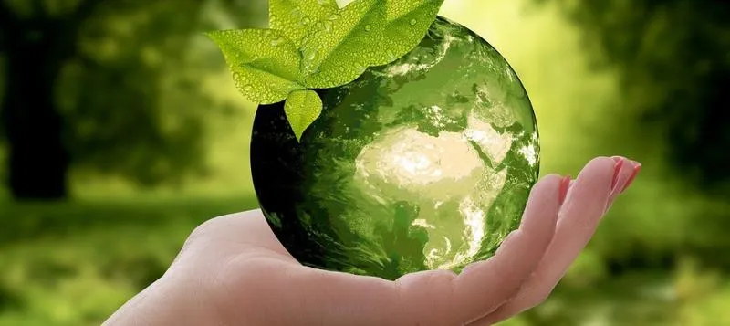 Świadoma konsumpcja i odpowiedzialne zakupy