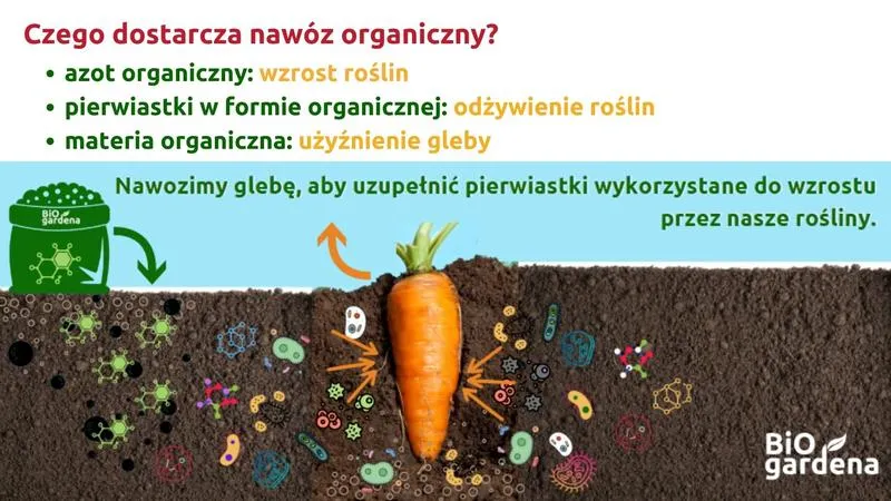 Terminy nawożenia różnych gatunków