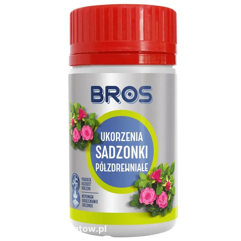 Ukorzeniacz do roślin porady