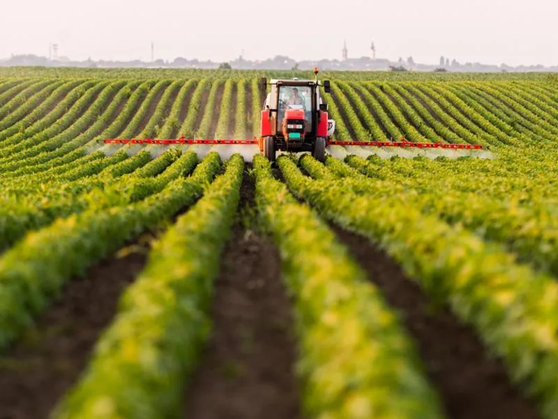 Warunki pogodowe a opryski
