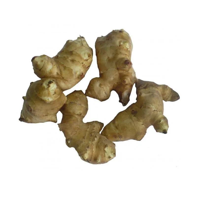 Wymagania glebowe topinamburu